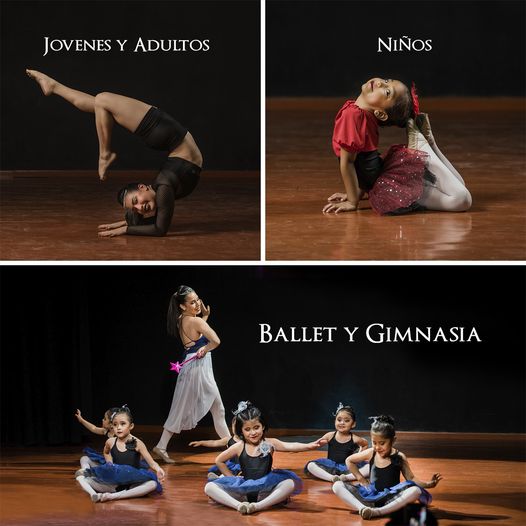 Clases de Ballet y Gimnasia On Line (2)
