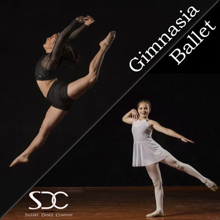 Clases-de-Ballet-y-Gimnasia-On-Line-(4)